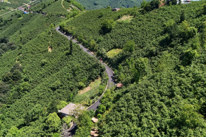 Ordu'da 3,5 kilometrelik asfalt tamamlandı