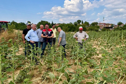 Edirne Keşan’da fırtına sonrası hasar tespiti başladı