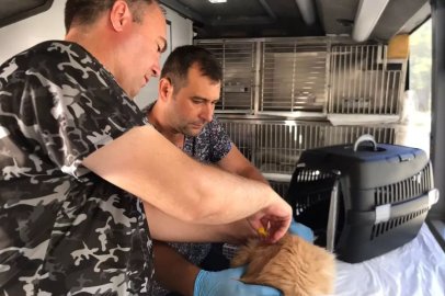 Balıkesir'de can dost aracı Savaştepe’den yola çıkıyor